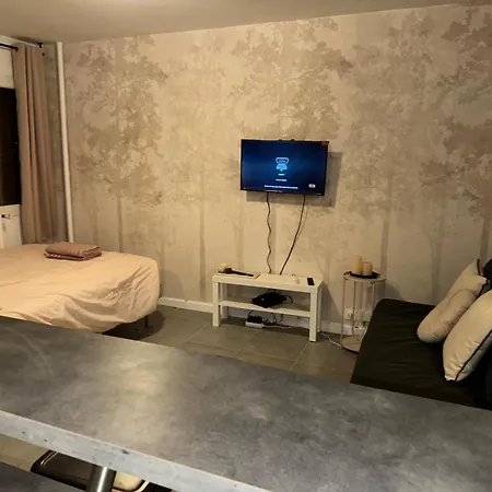 아파트 Lerelaisdodile - Ideal Pro & Couple - Cosy - Proche Metro - Parking Gratuit - - - Wifi Hd - Smart Tv - Entree Autonome 몽장바뢸