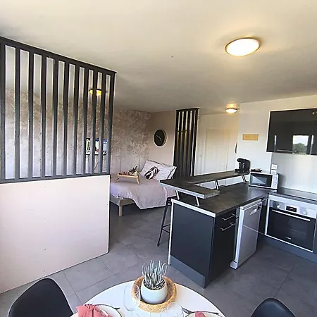 아파트 Lerelaisdodile - Ideal Pro & Couple - Cosy - Proche Metro - Parking Gratuit - - - Wifi Hd - Smart Tv - Entree Autonome *